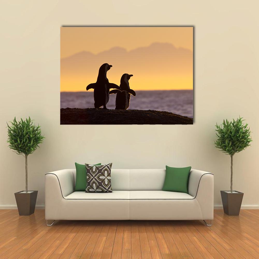 Penguins Near Cape Town Canvas Wall Art-1 Piece-Gallery Wrap-36" x 24"-Tiaracle
