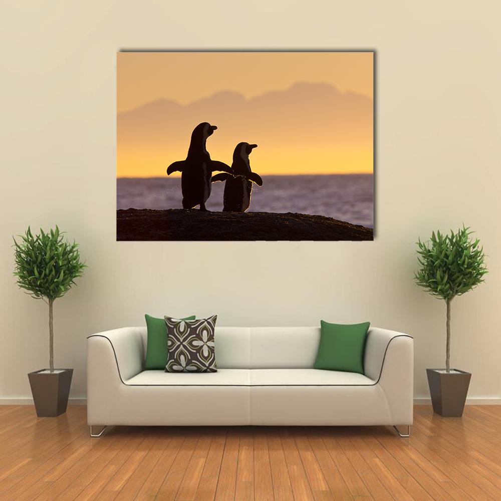 Penguins Near Cape Town Canvas Wall Art-1 Piece-Gallery Wrap-24" x 16"-Tiaracle
