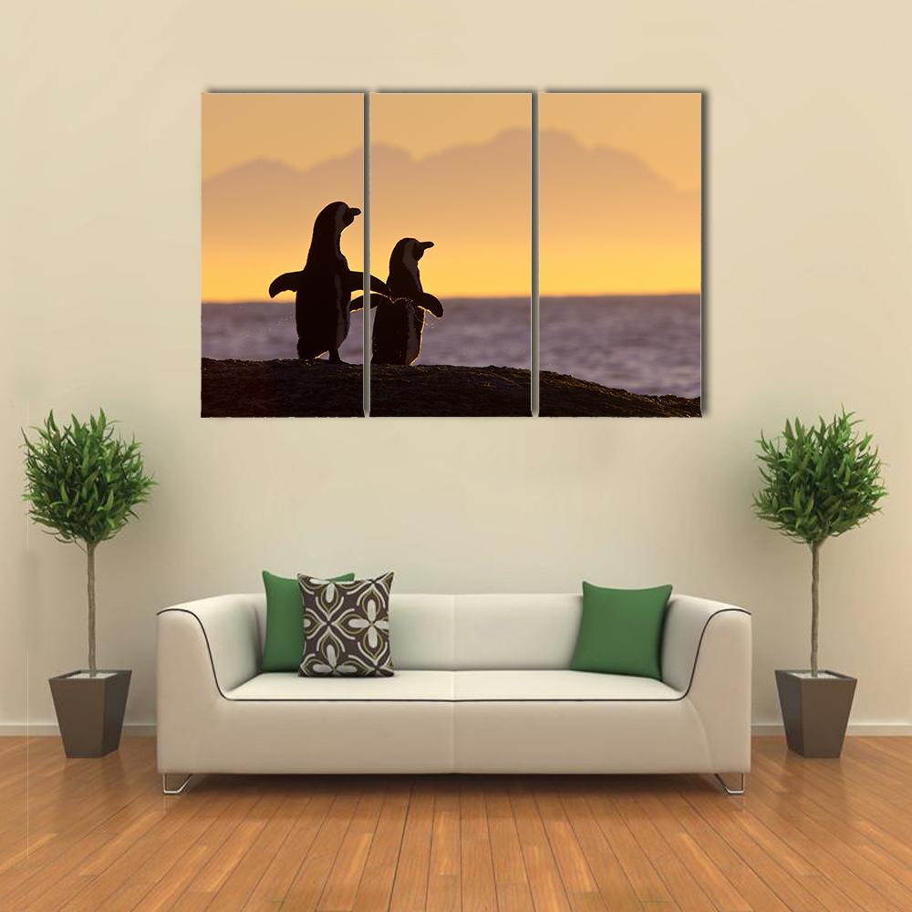 Penguins Near Cape Town Canvas Wall Art-3 Horizontal-Gallery Wrap-25" x 16"-Tiaracle