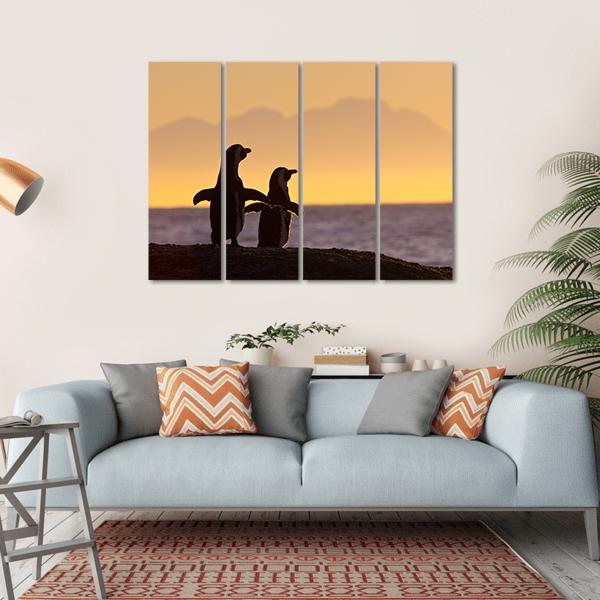 Penguins Near Cape Town Canvas Wall Art-4 Horizontal-Gallery Wrap-34" x 24"-Tiaracle