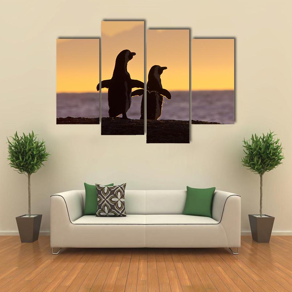 Penguins Near Cape Town Canvas Wall Art-4 Pop-Gallery Wrap-34" x 20"-Tiaracle