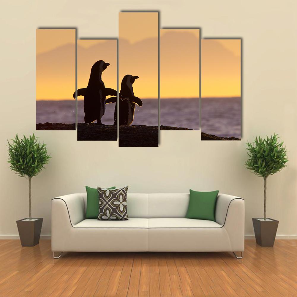 Penguins Near Cape Town Canvas Wall Art-5 Pop-Gallery Wrap-32" x 21"-Tiaracle
