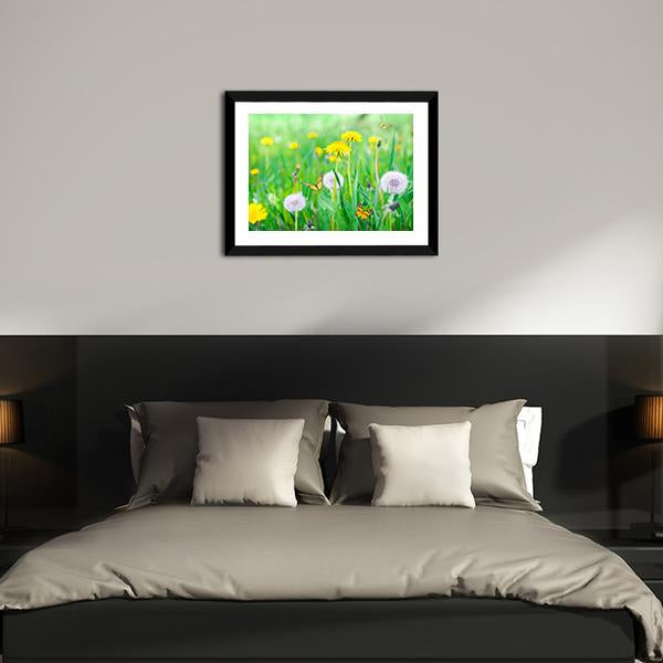 Air Dandelions On Green Field Canvas Wall Art-3 Horizontal-Gallery Wrap-25" x 16"-Tiaracle