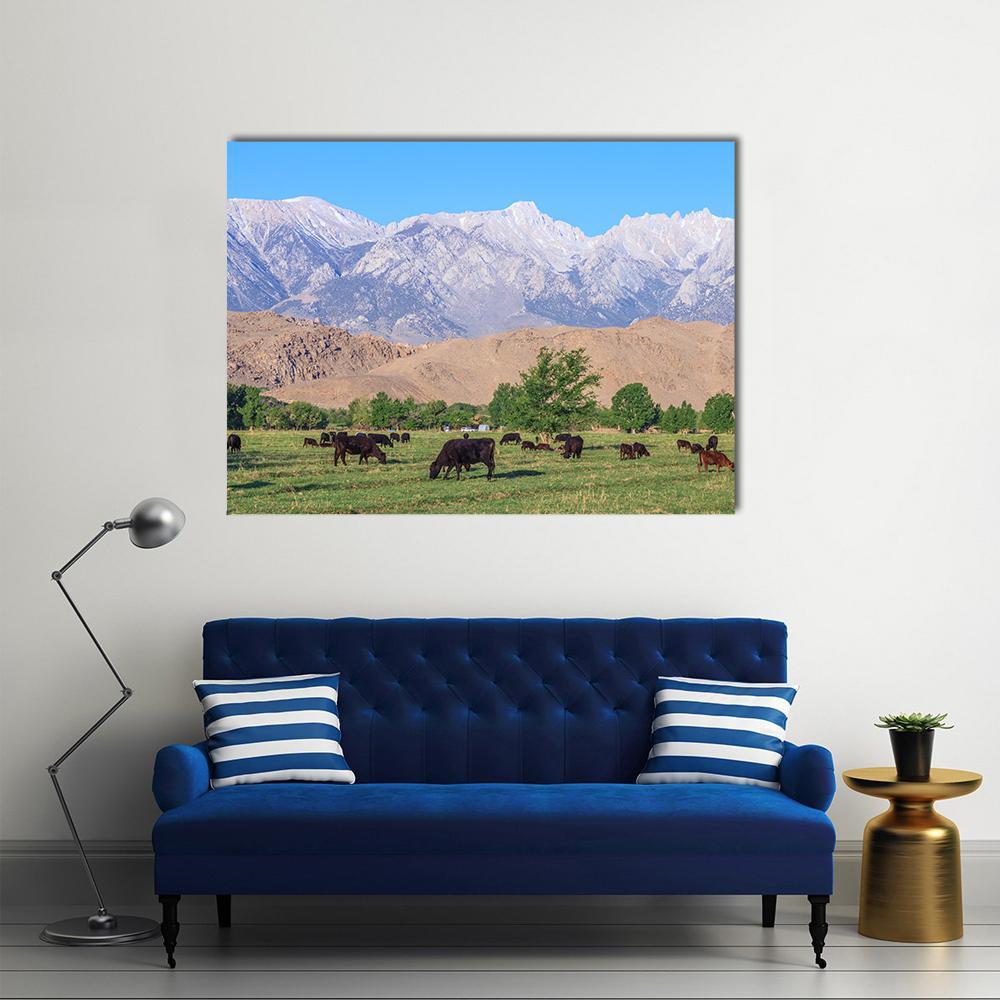 Grazing Cows in Mountain Meadow Canvas Wall Art in brown, green and blue, single panel hung on a wall