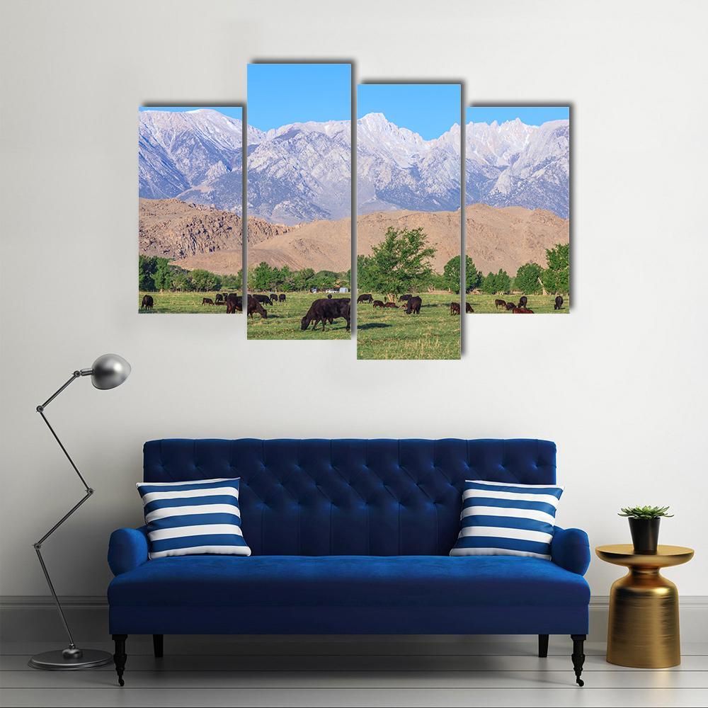 Alabama Hills Canvas Wall Art-4 Pop-Gallery Wrap-50" x 32"-Tiaracle