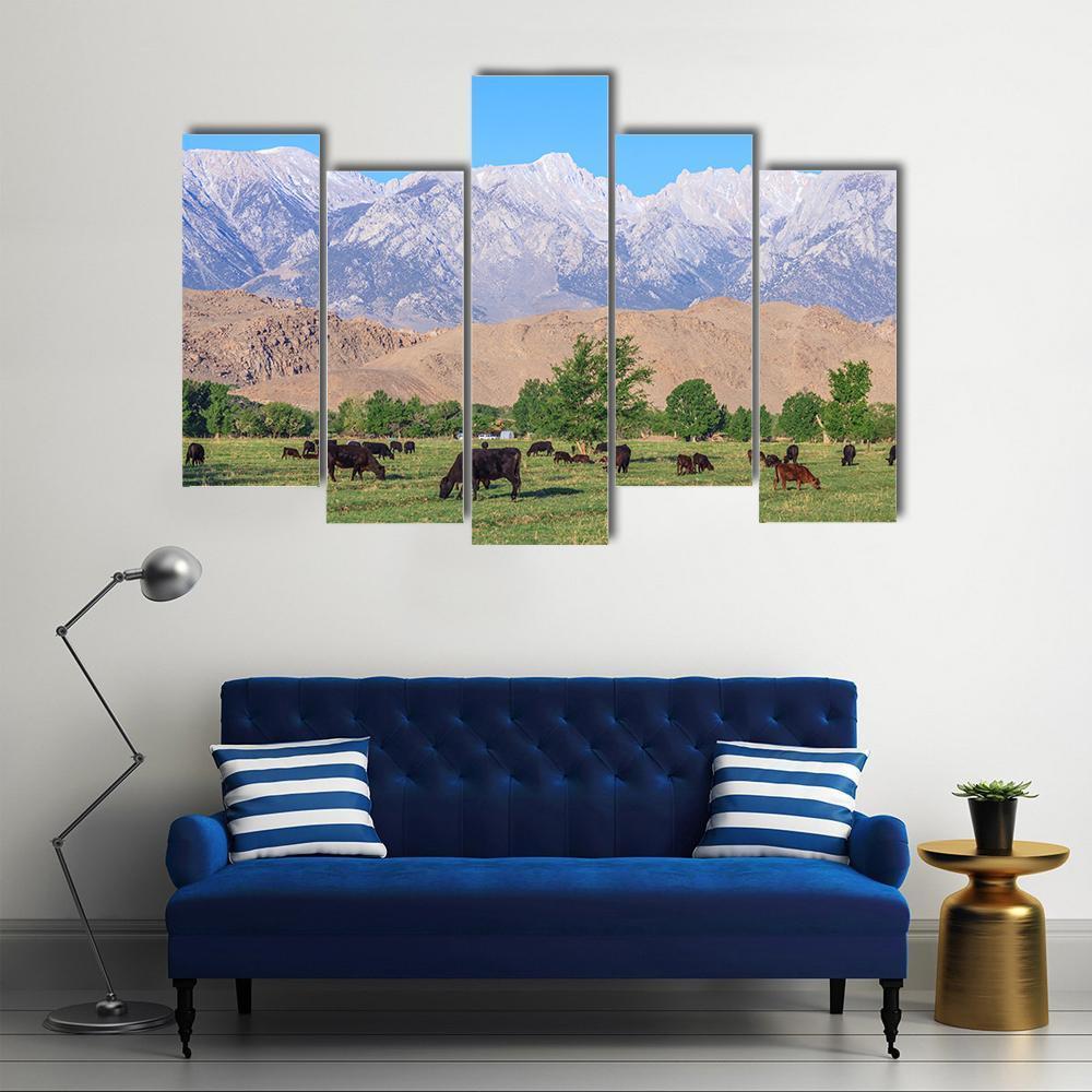 Alabama Hills Canvas Wall Art-5 Pop-Gallery Wrap-47" x 32"-Tiaracle