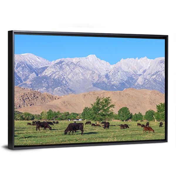 Alabama Hills Canvas Wall Art-3 Horizontal-Gallery Wrap-25" x 16"-Tiaracle