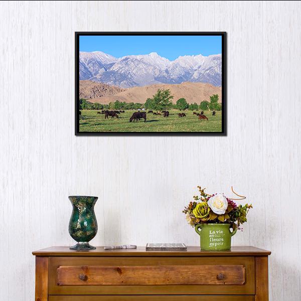 Alabama Hills Canvas Wall Art-3 Horizontal-Gallery Wrap-25" x 16"-Tiaracle