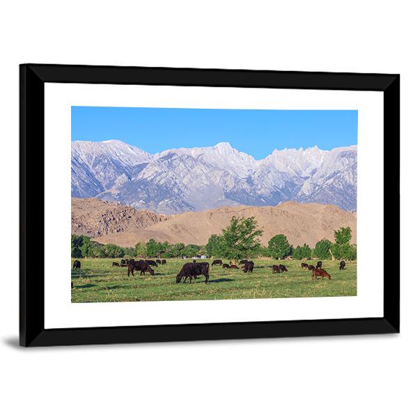 Alabama Hills Canvas Wall Art-3 Horizontal-Gallery Wrap-25" x 16"-Tiaracle