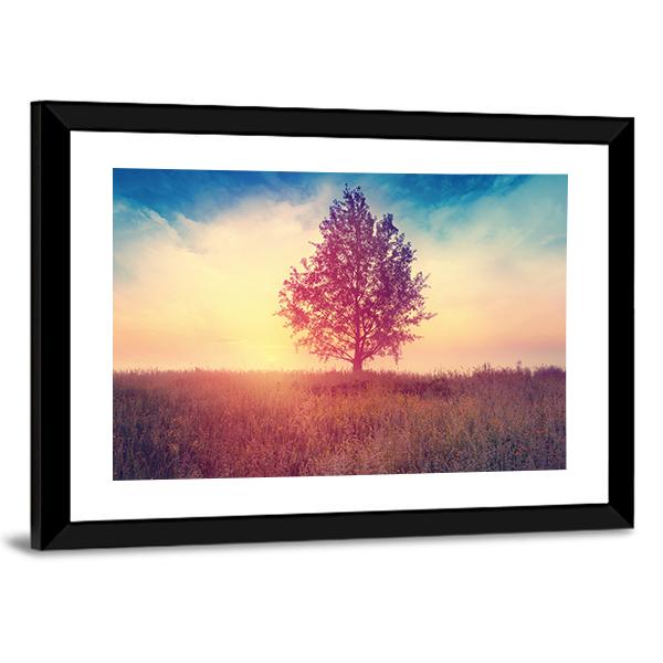 Alone Tree Over Sunrise Canvas Wall Art-3 Horizontal-Gallery Wrap-25" x 16"-Tiaracle