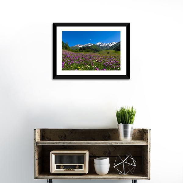 Alpine Fields With Purple Flowers Canvas Wall Art-1 Piece-Framed Print-20" x 16"-Tiaracle