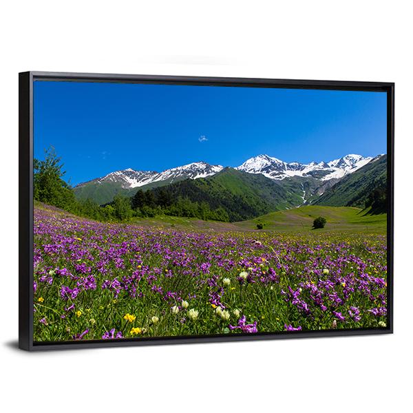 Alpine Fields With Purple Flowers Canvas Wall Art-3 Horizontal-Gallery Wrap-25" x 16"-Tiaracle