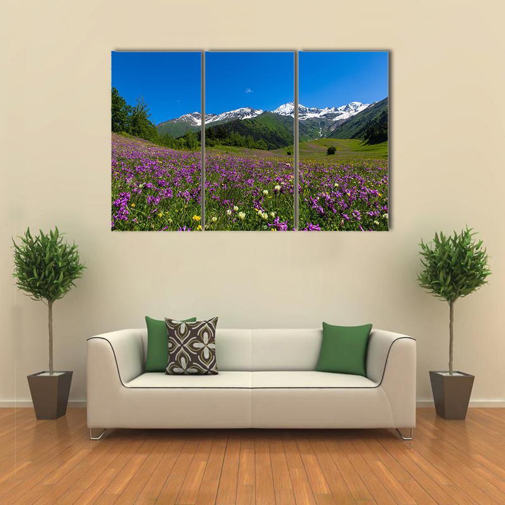 Alpine Fields With Purple Flowers Canvas Wall Art-3 Horizontal-Gallery Wrap-37" x 24"-Tiaracle