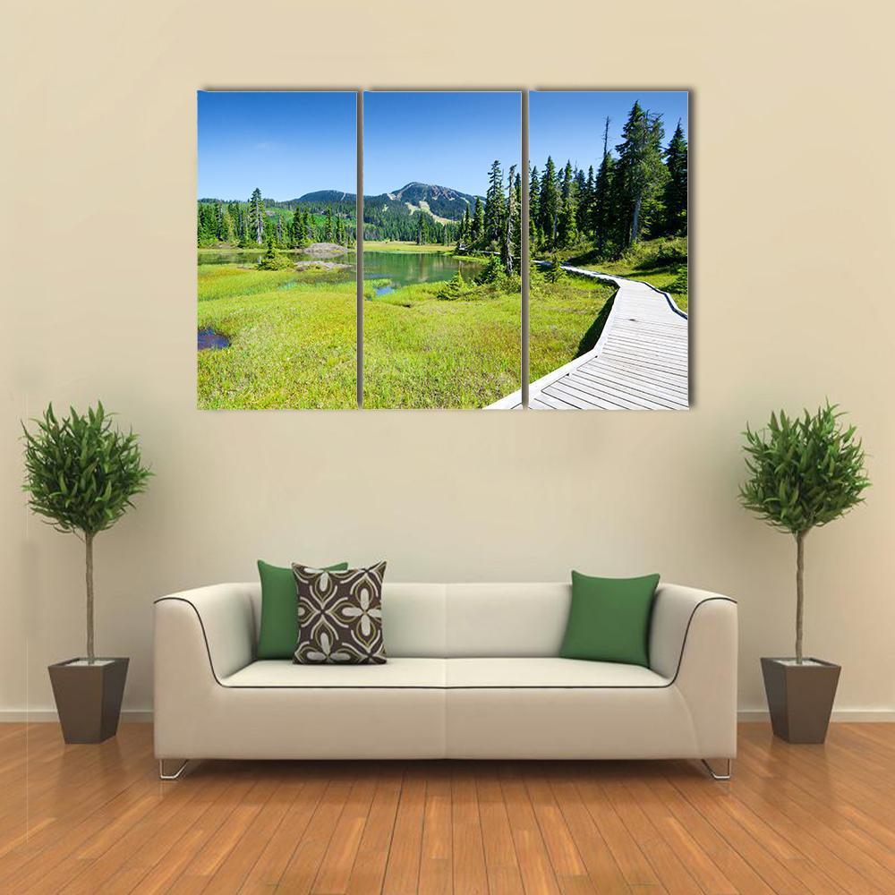 Alpine Trail In Canada Canvas Wall Art-3 Horizontal-Gallery Wrap-37" x 24"-Tiaracle