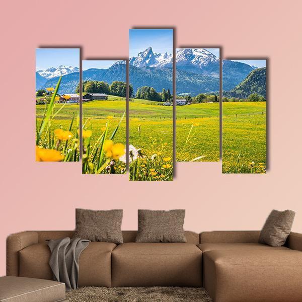 Alps With Meadows Canvas Wall Art-5 Pop-Gallery Wrap-47" x 32"-Tiaracle