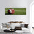 American Football On Field Panoramic Canvas Wall Art-1 Piece-36" x 12"-Tiaracle