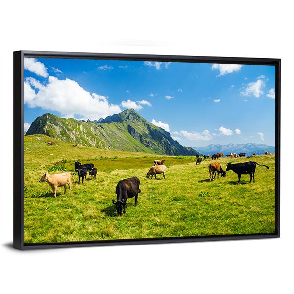 Animals In Highland Alpine Meadow Canvas Wall Art-3 Horizontal-Gallery Wrap-25&quot; x 16&quot;-Tiaracle