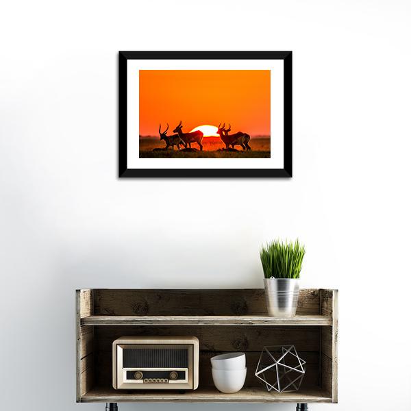 Antelope Against Sunrise Canvas Wall Art-1 Piece-Framed Print-20" x 16"-Tiaracle
