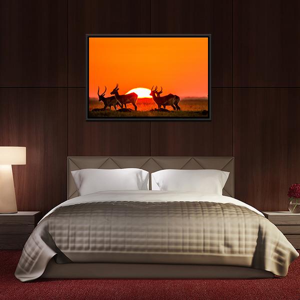 Antelope Against Sunrise Canvas Wall Art-3 Horizontal-Gallery Wrap-25" x 16"-Tiaracle