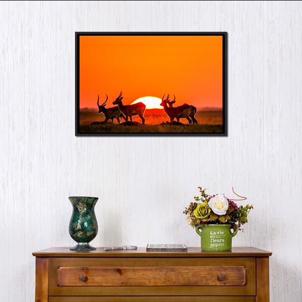 Antelope Against Sunrise Panoramic Canvas Wall Art-1 Piece-36" x 12"-Tiaracle