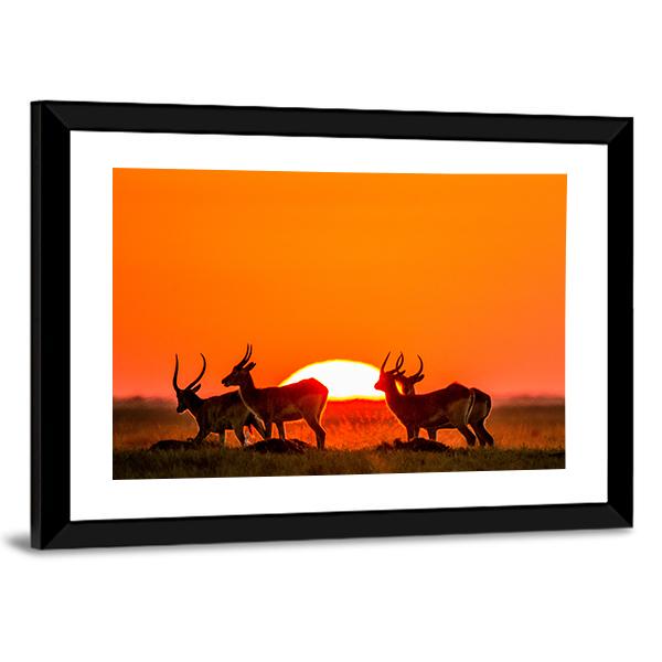 Antelope Against Sunrise Panoramic Canvas Wall Art-1 Piece-36" x 12"-Tiaracle