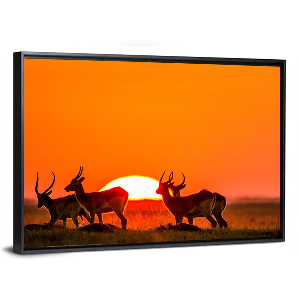 Antelope Against Sunrise Panoramic Canvas Wall Art-1 Piece-36" x 12"-Tiaracle