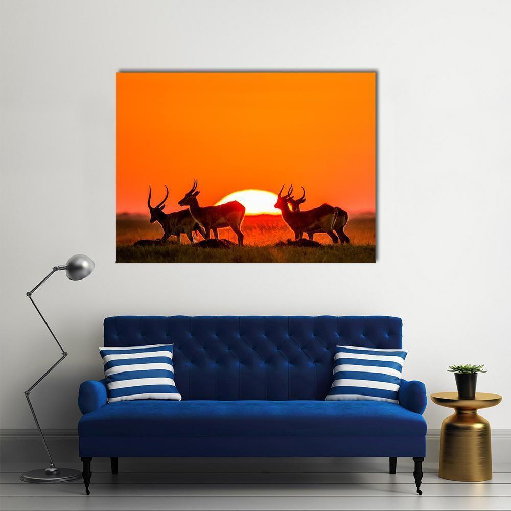 Antelope Against Sunrise Canvas Wall Art-1 Piece-Gallery Wrap-36" x 24"-Tiaracle