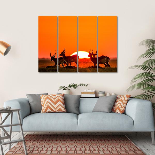 Antelope Against Sunrise Canvas Wall Art-4 Horizontal-Gallery Wrap-34" x 24"-Tiaracle