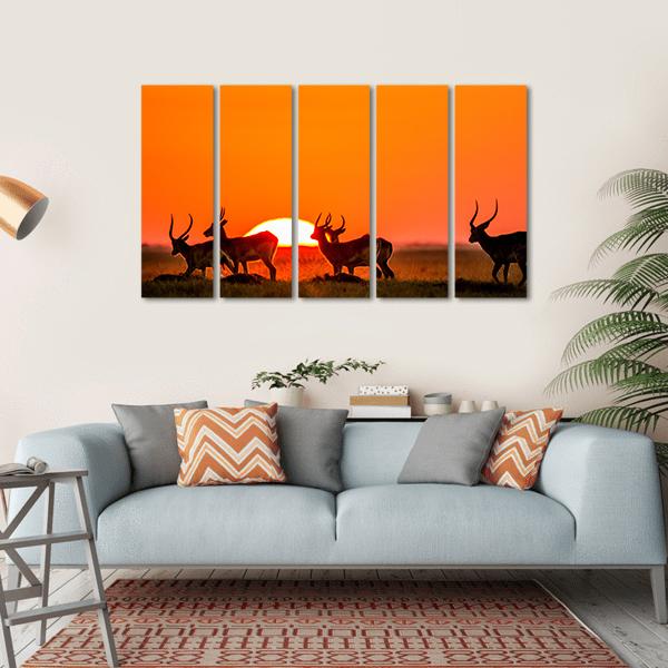 Antelope Against Sunrise Canvas Wall Art-5 Horizontal-Gallery Wrap-22" x 12"-Tiaracle