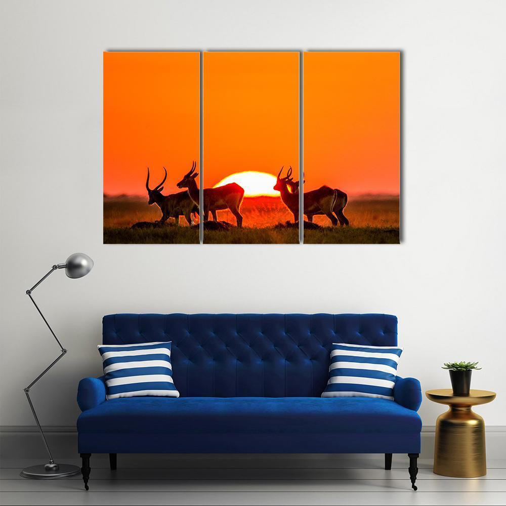 Antelope Against Sunrise Canvas Wall Art-3 Horizontal-Gallery Wrap-37" x 24"-Tiaracle