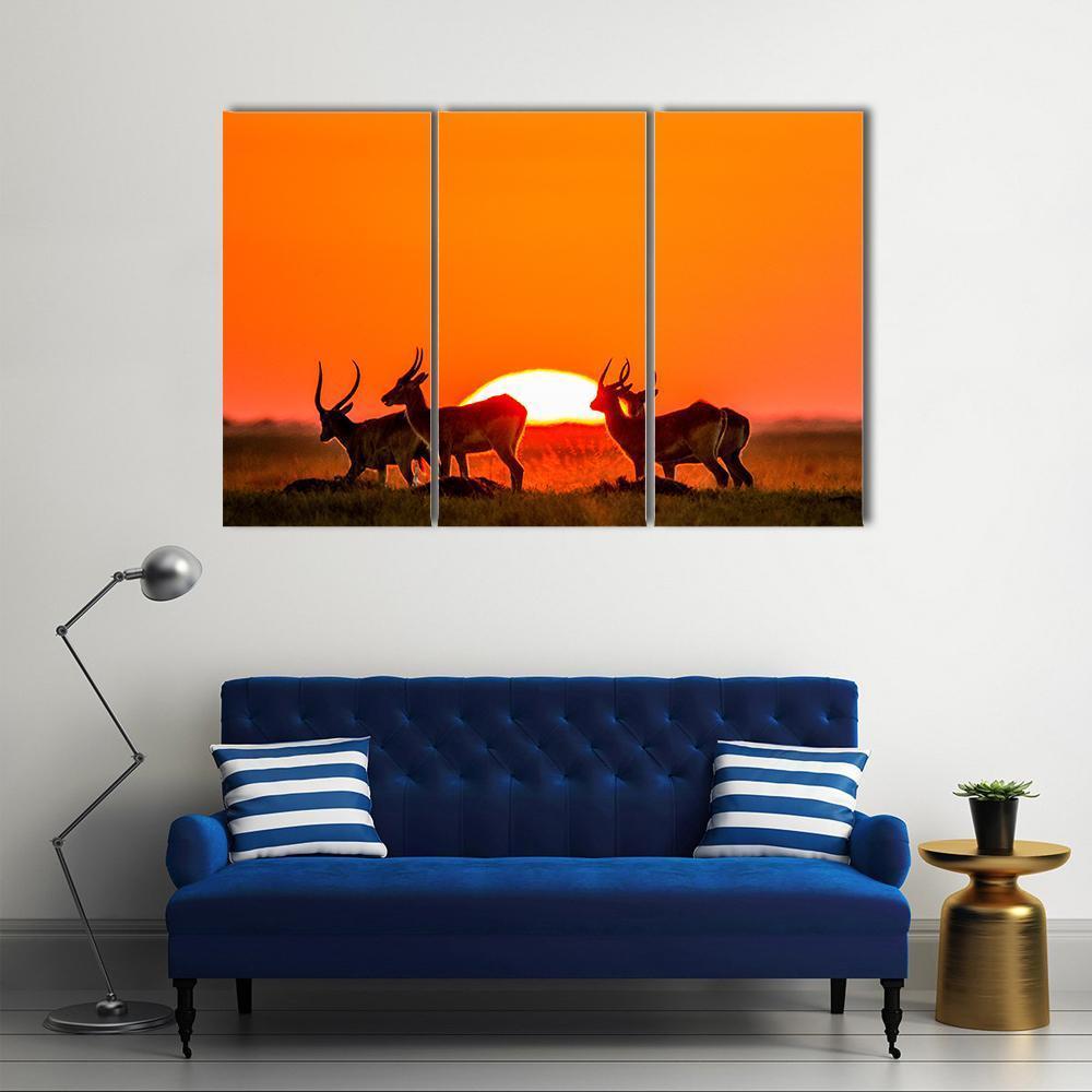 Antelope Against Sunrise Canvas Wall Art-4 Pop-Gallery Wrap-50" x 32"-Tiaracle