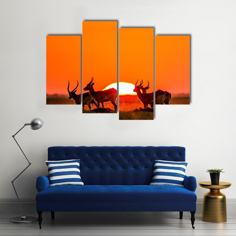 Antelope Against Sunrise Canvas Wall Art-4 Pop-Gallery Wrap-50" x 32"-Tiaracle