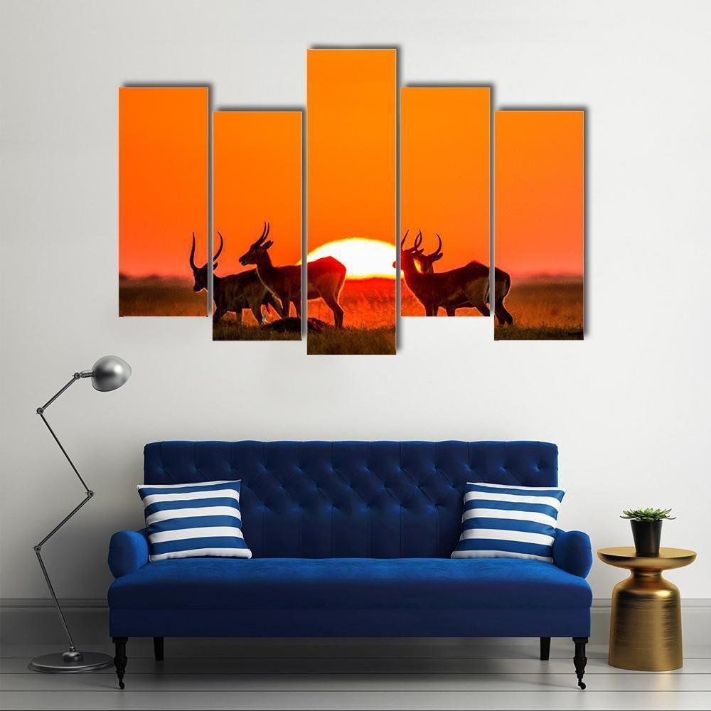 Antelope Against Sunrise Canvas Wall Art-5 Pop-Gallery Wrap-47" x 32"-Tiaracle