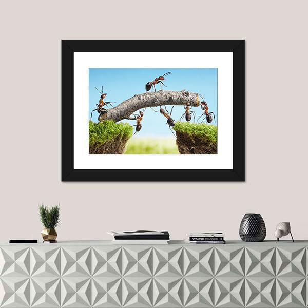 Ants Constructing Bridge Canvas Wall Art-5 Horizontal-Gallery Wrap-22" x 12"-Tiaracle