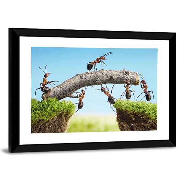 Ants Constructing Bridge Canvas Wall Art-5 Horizontal-Gallery Wrap-22" x 12"-Tiaracle