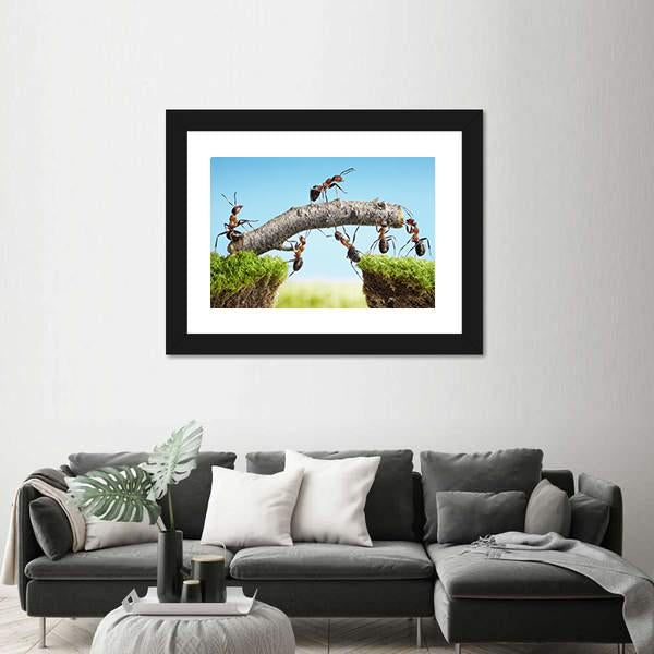 Ants Constructing Bridge Canvas Wall Art-1 Piece-Framed Print-20" x 16"-Tiaracle