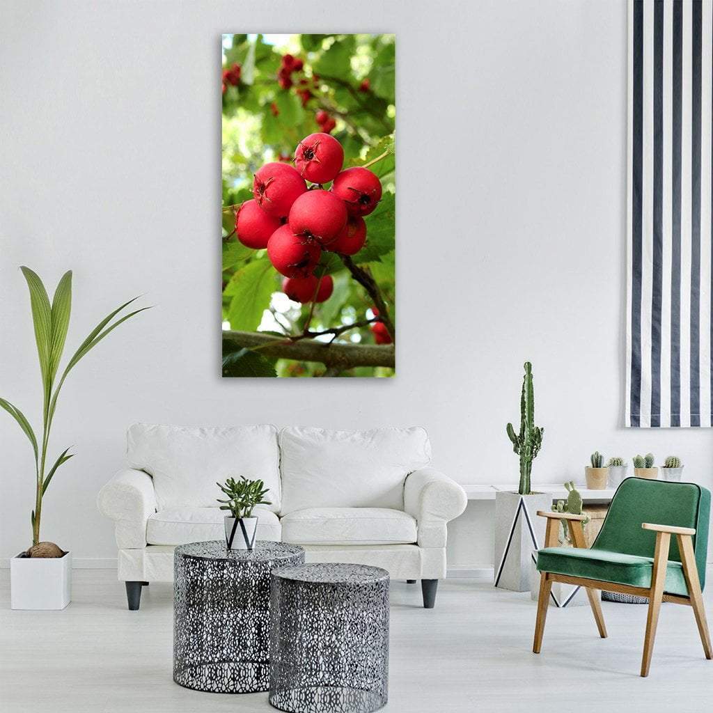 Wall Mural Apple Fruit 