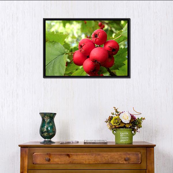 Apple Fruit On Tree Vertical Canvas Wall Art-3 Vertical-Gallery Wrap-12" x 25"-Tiaracle