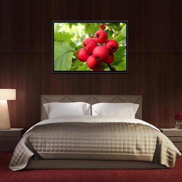 Apple Fruit On Tree Vertical Canvas Wall Art-3 Vertical-Gallery Wrap-12" x 25"-Tiaracle
