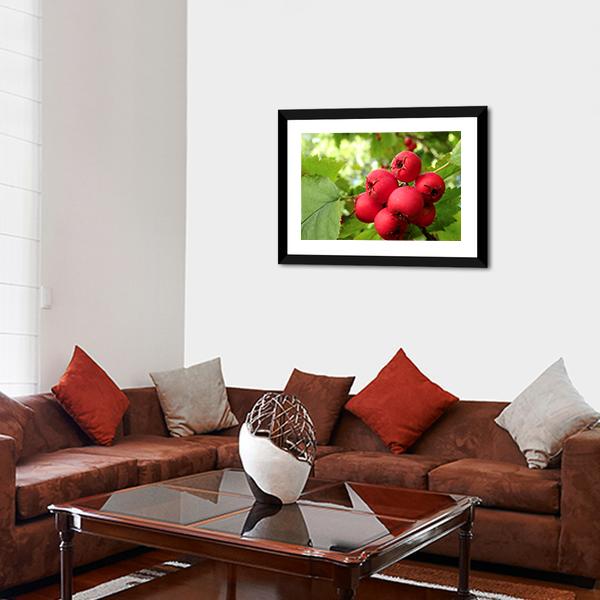 Apple Fruit On Tree Vertical Canvas Wall Art-3 Vertical-Gallery Wrap-12" x 25"-Tiaracle