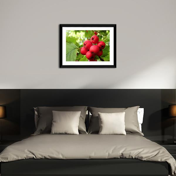 Apple Fruit On Tree Vertical Canvas Wall Art-3 Vertical-Gallery Wrap-12" x 25"-Tiaracle