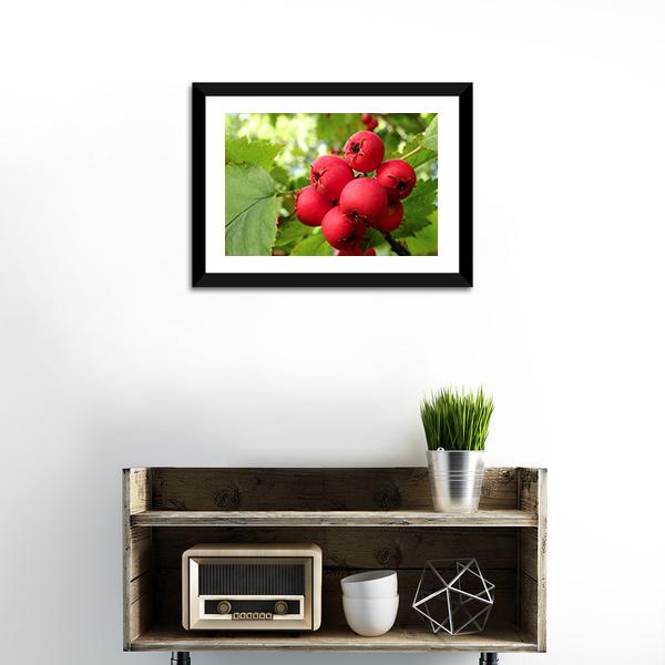 Apple Fruit On Tree Vertical Canvas Wall Art-3 Vertical-Gallery Wrap-12" x 25"-Tiaracle