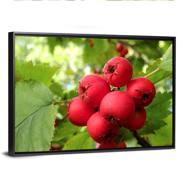 Apple Fruit On Tree Vertical Canvas Wall Art-3 Vertical-Gallery Wrap-12" x 25"-Tiaracle