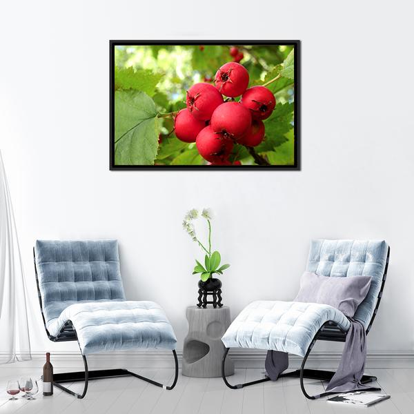 Apple Fruit On Tree Vertical Canvas Wall Art-3 Vertical-Gallery Wrap-12" x 25"-Tiaracle