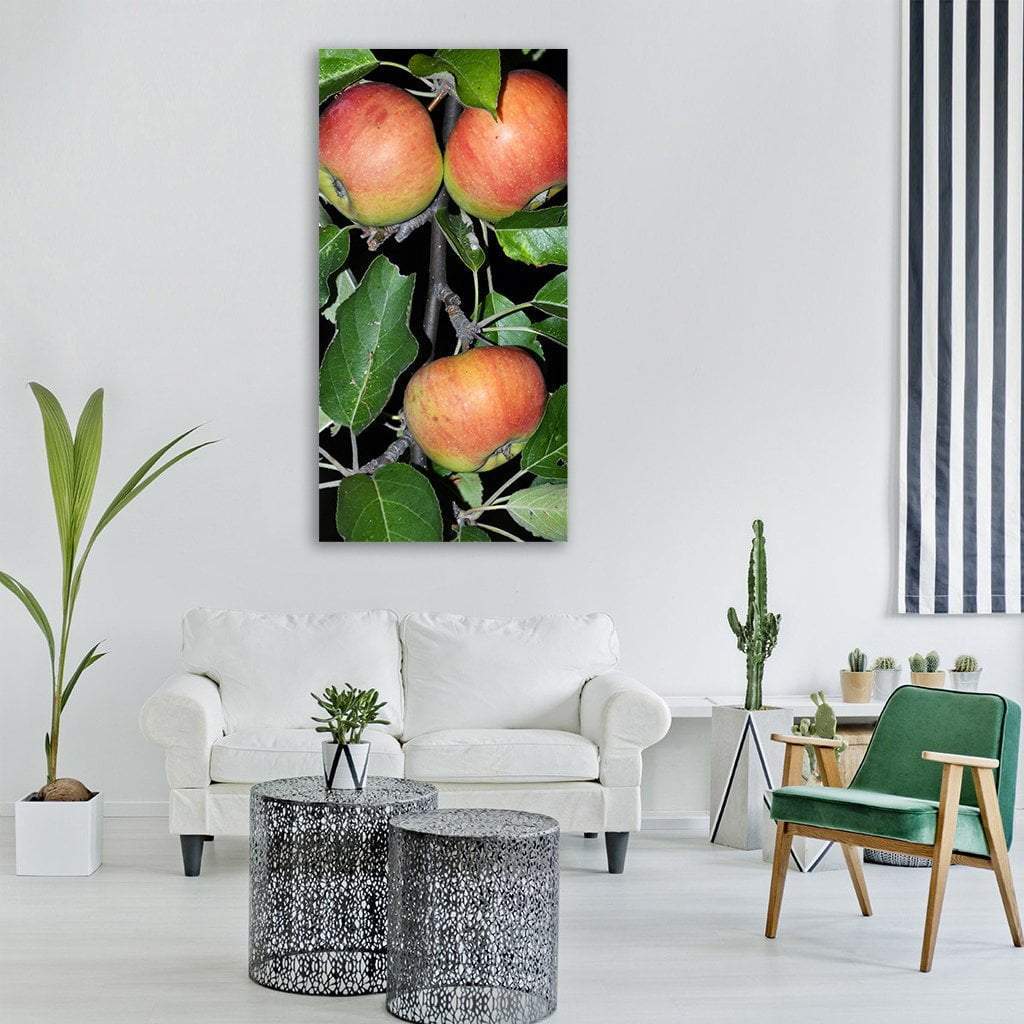 Apples In Branch Leaves Vertical Canvas Wall Art-3 Vertical-Gallery Wrap-12" x 25"-Tiaracle