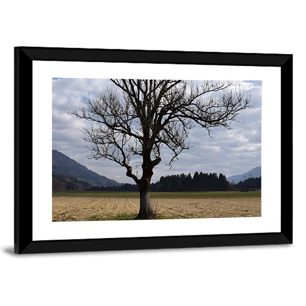 Arable Tree In Autumn Clouds Vertical Canvas Wall Art-3 Vertical-Gallery Wrap-12" x 25"-Tiaracle
