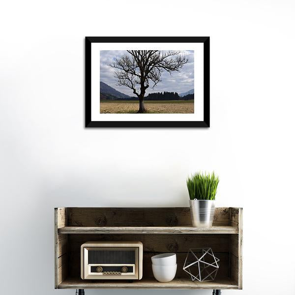 Arable Tree In Autumn Clouds Vertical Canvas Wall Art-3 Vertical-Gallery Wrap-12" x 25"-Tiaracle