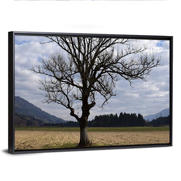 Arable Tree In Autumn Clouds Vertical Canvas Wall Art-3 Vertical-Gallery Wrap-12" x 25"-Tiaracle