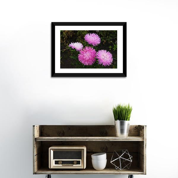 Asters Flowers Canvas Wall Art-1 Piece-Framed Print-20" x 16"-Tiaracle