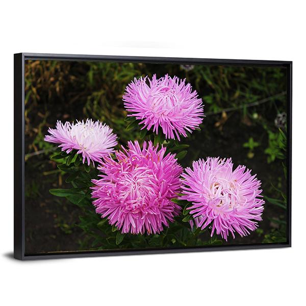 Asters Flowers Canvas Wall Art-3 Horizontal-Gallery Wrap-25" x 16"-Tiaracle